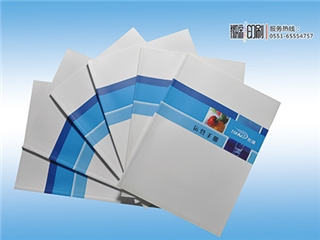 宣傳畫冊